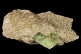 Yellow-Green Fluorapatite Crystal in Calcite - Ontario, Canada #137103-2